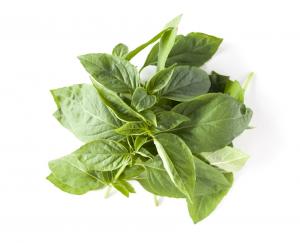 Thai Basil
